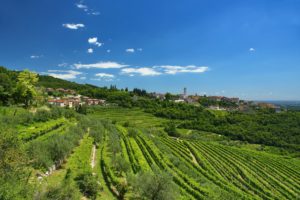 san giorgio di valpolicella